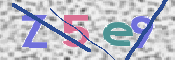 画像に表示された文字を入力して下さい