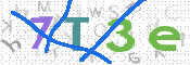 画像に表示された文字を入力して下さい