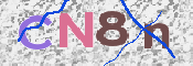画像に表示された文字を入力して下さい