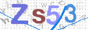 画像に表示された文字を入力して下さい