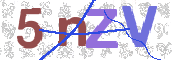 画像に表示された文字を入力して下さい