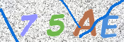 画像に表示された文字を入力して下さい