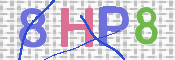 画像に表示された文字を入力して下さい