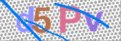 画像に表示された文字を入力して下さい