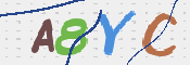 画像に表示された文字を入力して下さい