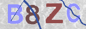 画像に表示された文字を入力して下さい