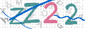 画像に表示された文字を入力して下さい