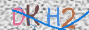 画像に表示された文字を入力して下さい
