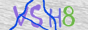 画像に表示された文字を入力して下さい