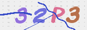 画像に表示された文字を入力して下さい