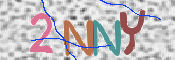 画像に表示された文字を入力して下さい