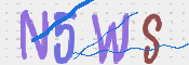 画像に表示された文字を入力して下さい