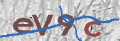 画像に表示された文字を入力して下さい