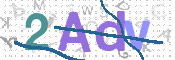 画像に表示された文字を入力して下さい