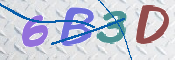 画像に表示された文字を入力して下さい