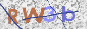画像に表示された文字を入力して下さい