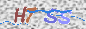 画像に表示された文字を入力して下さい