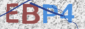 画像に表示された文字を入力して下さい