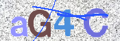 画像に表示された文字を入力して下さい