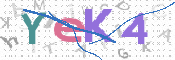 画像に表示された文字を入力して下さい