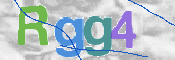 画像に表示された文字を入力して下さい
