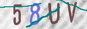 画像に表示された文字を入力して下さい