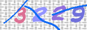 画像に表示された文字を入力して下さい