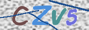 画像に表示された文字を入力して下さい