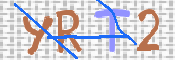 画像に表示された文字を入力して下さい