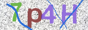 画像に表示された文字を入力して下さい