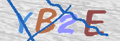 画像に表示された文字を入力して下さい