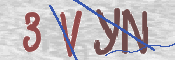 画像に表示された文字を入力して下さい