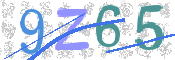 画像に表示された文字を入力して下さい