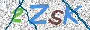 画像に表示された文字を入力して下さい