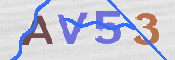 画像に表示された文字を入力して下さい