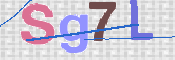 画像に表示された文字を入力して下さい