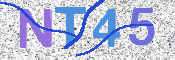 画像に表示された文字を入力して下さい