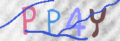 画像に表示された文字を入力して下さい