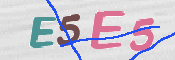 画像に表示された文字を入力して下さい