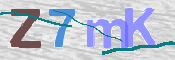 画像に表示された文字を入力して下さい