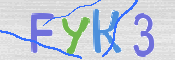 画像に表示された文字を入力して下さい