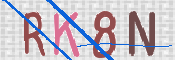 画像に表示された文字を入力して下さい