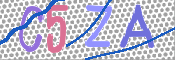 画像に表示された文字を入力して下さい