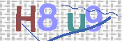 画像に表示された文字を入力して下さい