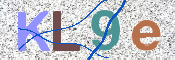 画像に表示された文字を入力して下さい