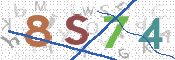 画像に表示された文字を入力して下さい