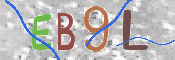 画像に表示された文字を入力して下さい