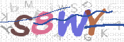 画像に表示された文字を入力して下さい