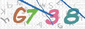 画像に表示された文字を入力して下さい