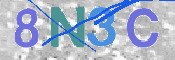 画像に表示された文字を入力して下さい